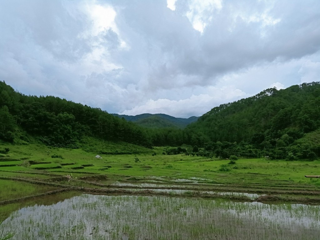 Đi giữa đại ngàn