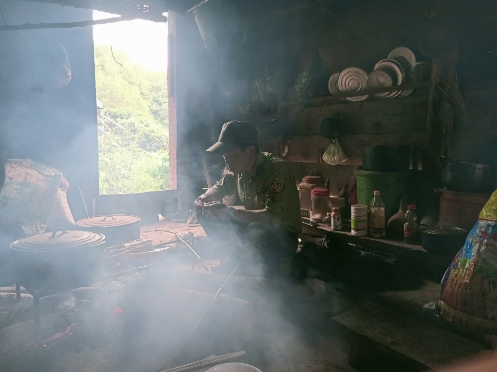 Đi giữa đại ngàn
