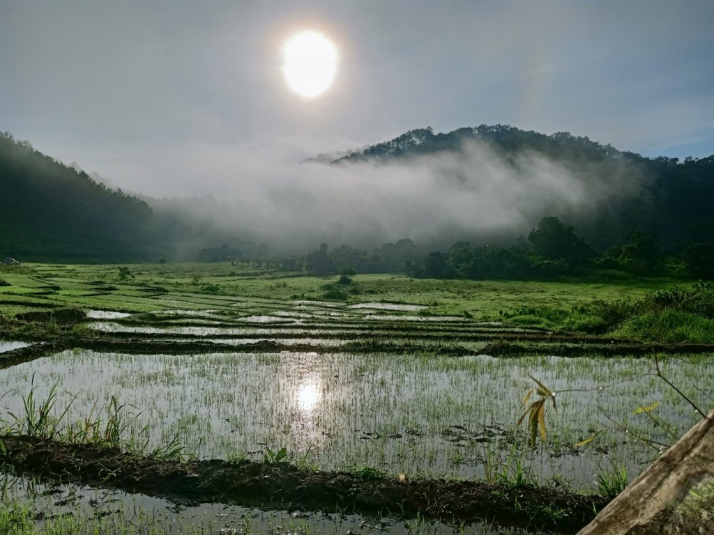 Đi giữa đại ngàn
